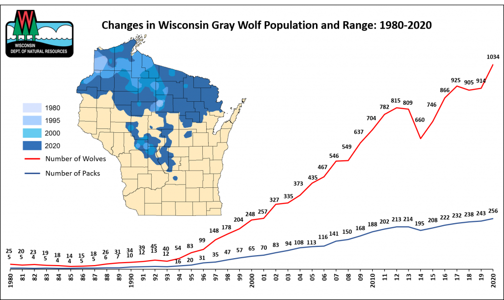 Graph and image representing wolf abundance increase and range expansion in Wisconsin from 1980 to 2020.