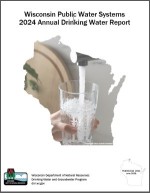 Screenshot of the 2024 Annual Report Cover Page