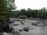 Upper Wolf River