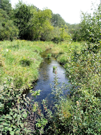 Roelke Creek