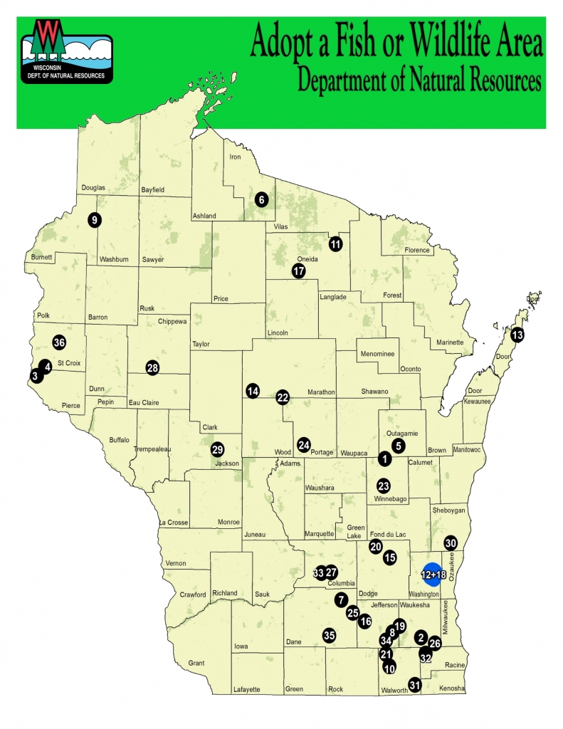 Wildlife Management Volunteer Opportunities | Wisconsin DNR