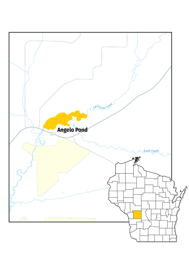 An graphic of showing Angelo Pond on a geographical map.