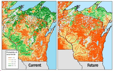 Figure of the probability of occurrence of brook trout in the future.