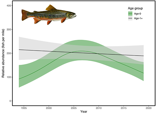 Figures of adult and young of year brook trout densities.