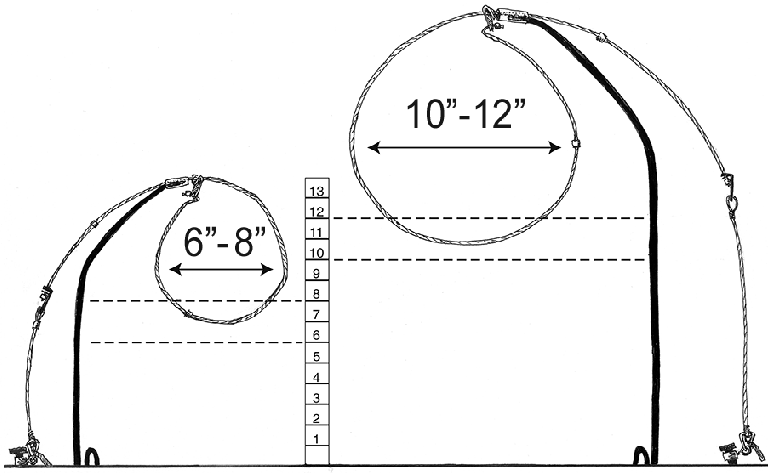 Figure of acceptable loop heights. Loop heights and size vary, depending on the intended species.