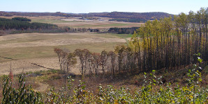 Chippewa County field