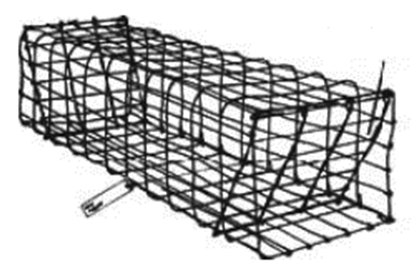 Diagram of a colony trap, including dimensions. 