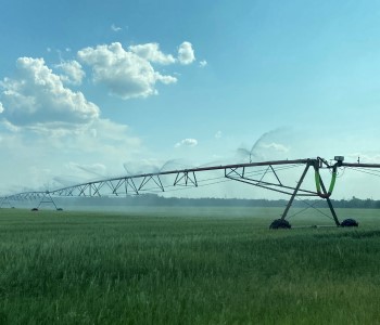 Crop Irrigation in the Central Sands