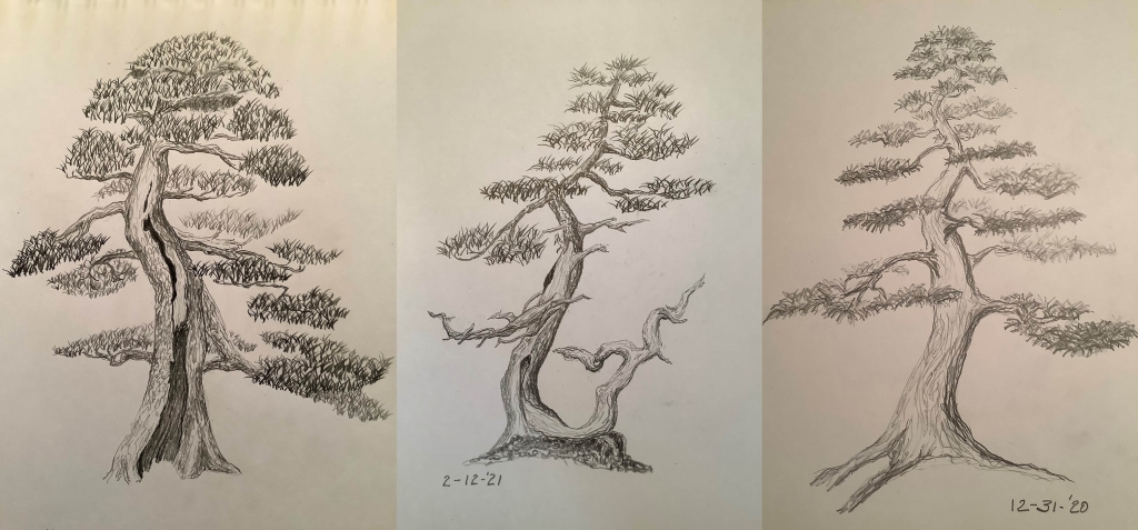 Three art drawings of three different trees using pencil.