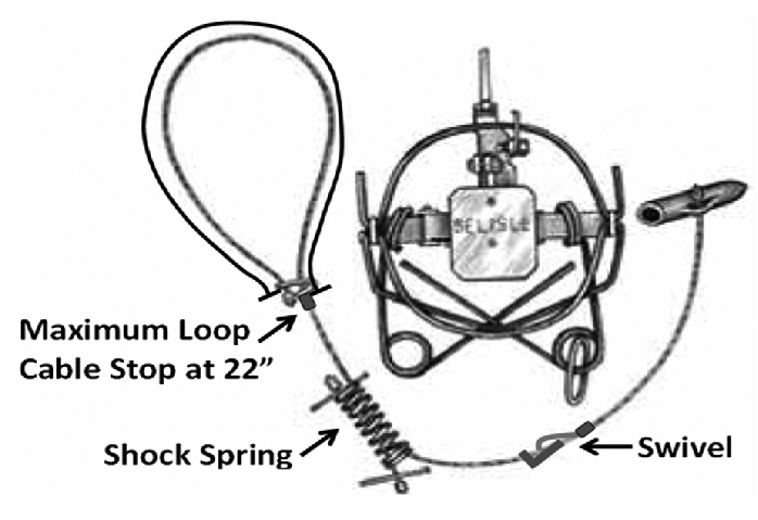 Diagram of a foot-activated cable restraint, showing the maximum loop cable stop at 22 inches