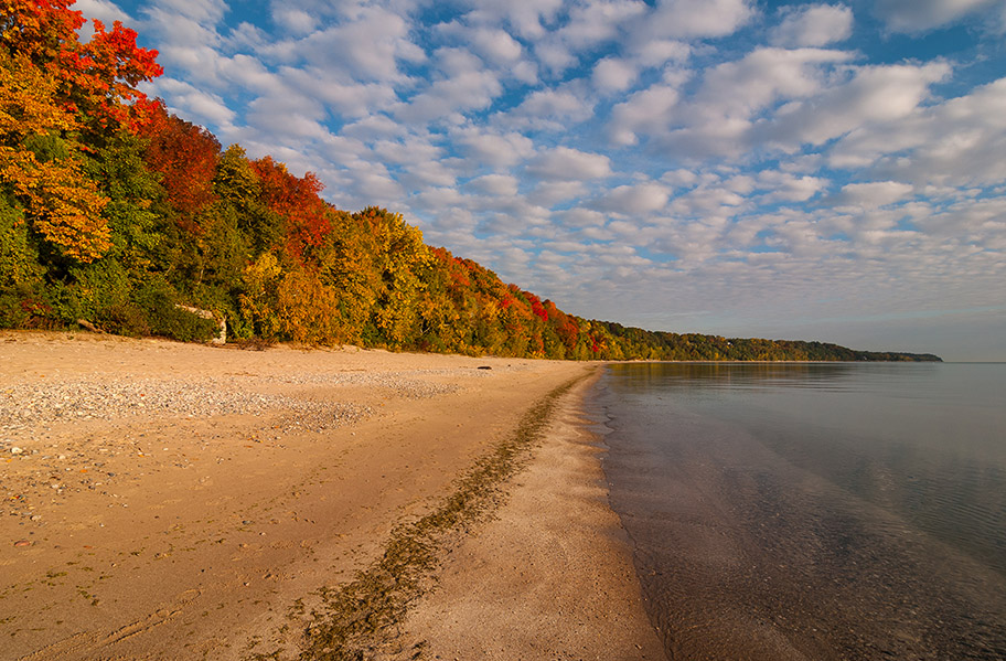Red, green and yellow trees line a sandy beach all the way to the horizon in "Morning Colors," a photo taken by Chris Gazlano and submitted for the 2015 Great Lakes Photo Contest.