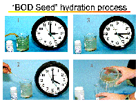 BOD seed hydration process in pictures