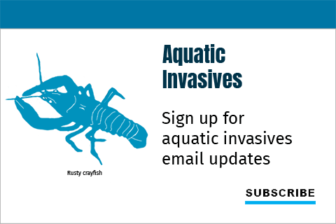 Sign up for Aquatic invasive species email updates