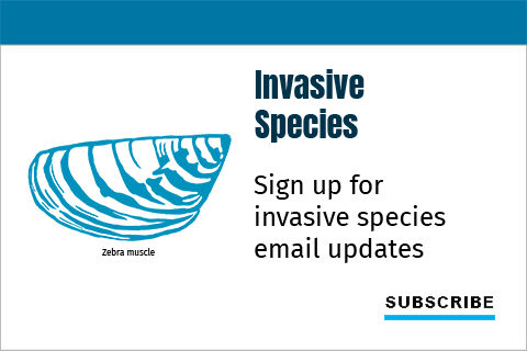 Sign up for general invasive species email updates.
