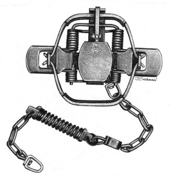 Diagram of a jawed trap, showing how to measure the spread width. Use the widest points on the outside of the jaws.