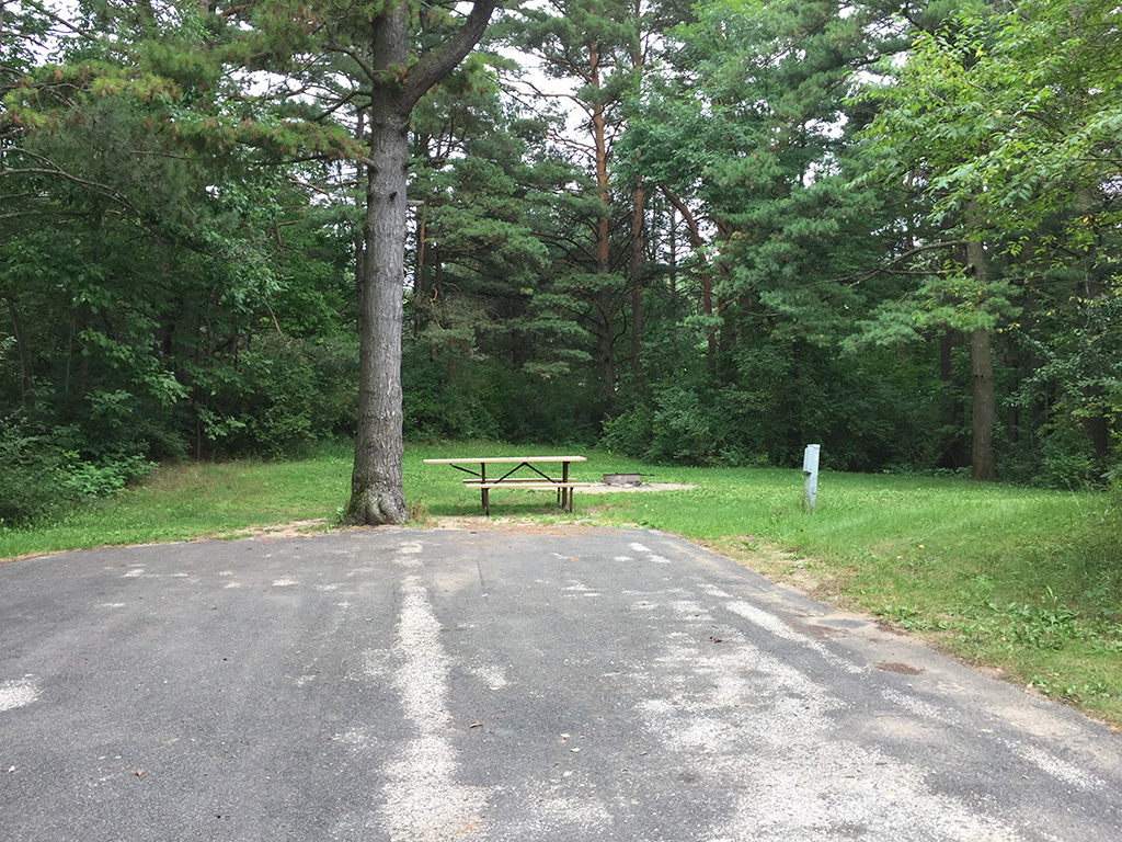 Accessible campsite with an asphalt camping pad, accessible picnic table, fire ring and electric pedestal at Kohler-Andrae State Park.