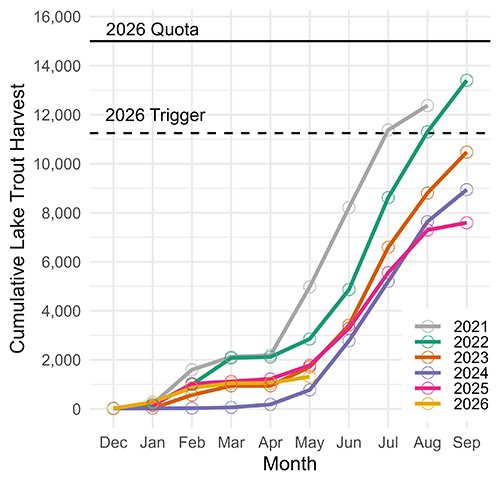 Lake trout harvest trends from 2021-2026