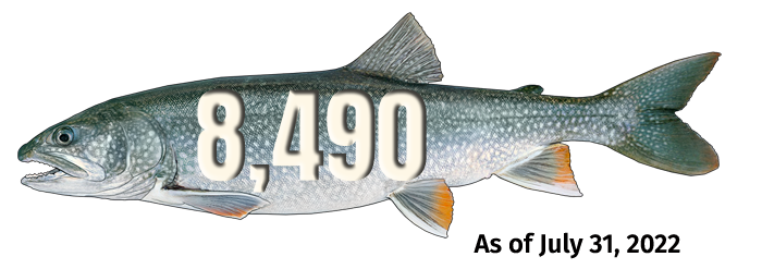 Lake trout harvest counter