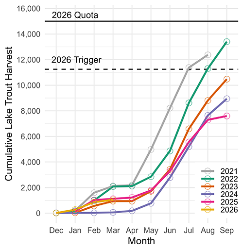Figure showing the lake trout harvest trends from 2021-2026