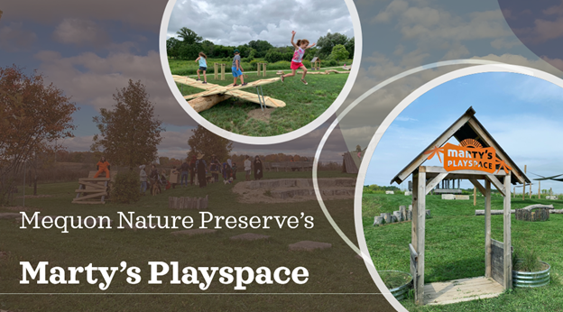 Pictures of Marty's playspace, an outdoor recreational area for kids