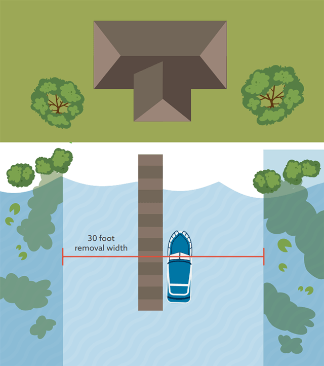 Illustration showing property shoreline with a boat docked on a pier. 30 feet of aquatic plants removed from the lake with aquatic plants appearing after the 30 feet.