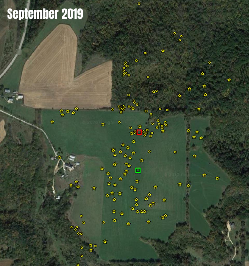 Map of a buck's movements in September 2019