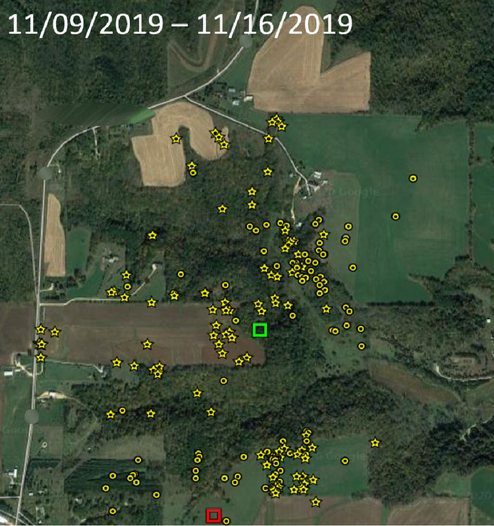 Map of a buck's movements during the second week of the rut