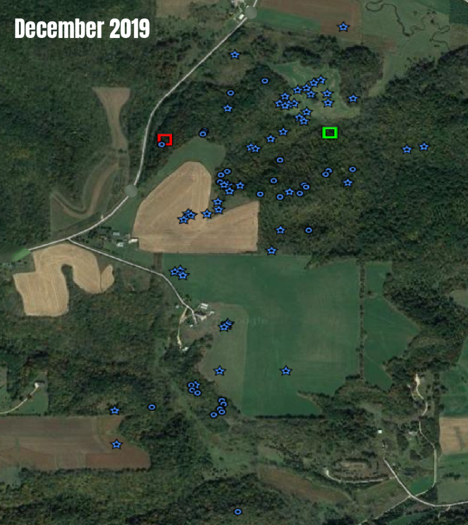 Map of the buck's movements in December 2019
