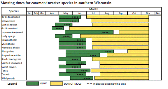 Suggested mowing times for common invasive species