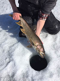 Ice fishing release