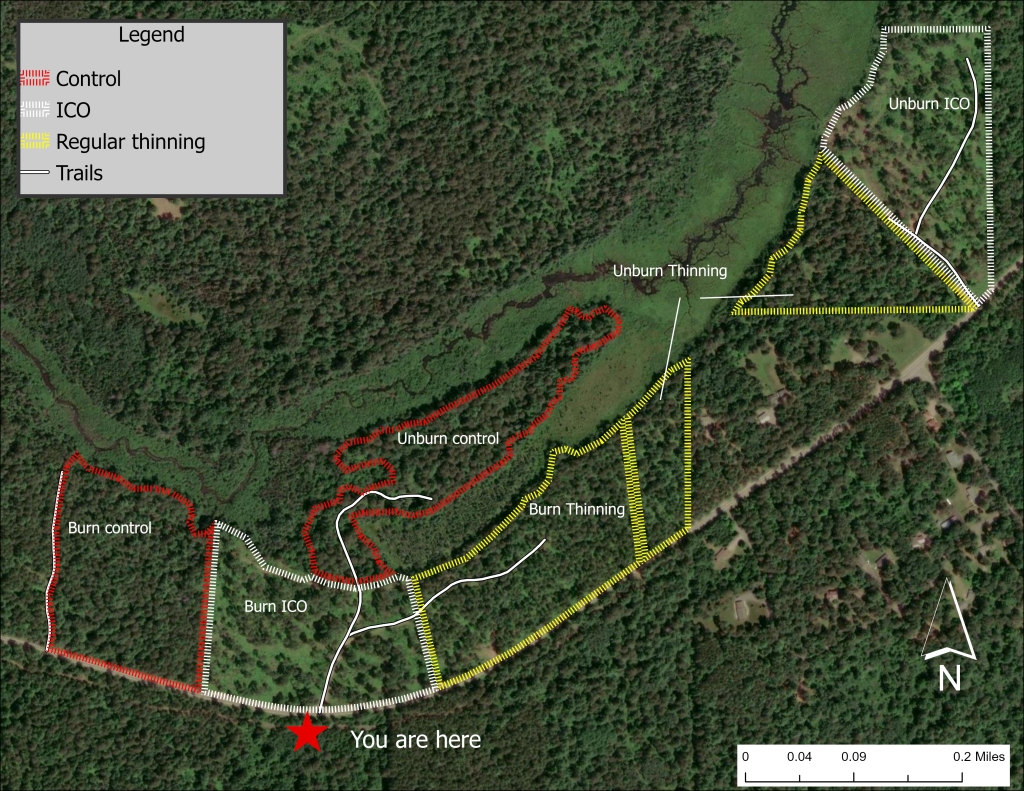 A map showing the study design at Papoose Creek Pines State Natural Area.