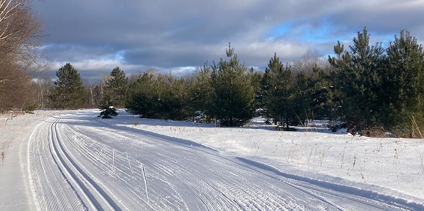 Groomed Ski Trail at Copper Falls State Park