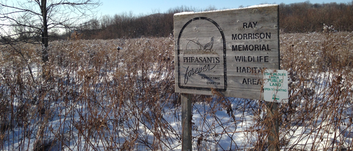 Ray Morrison Memorial Wildlife Area