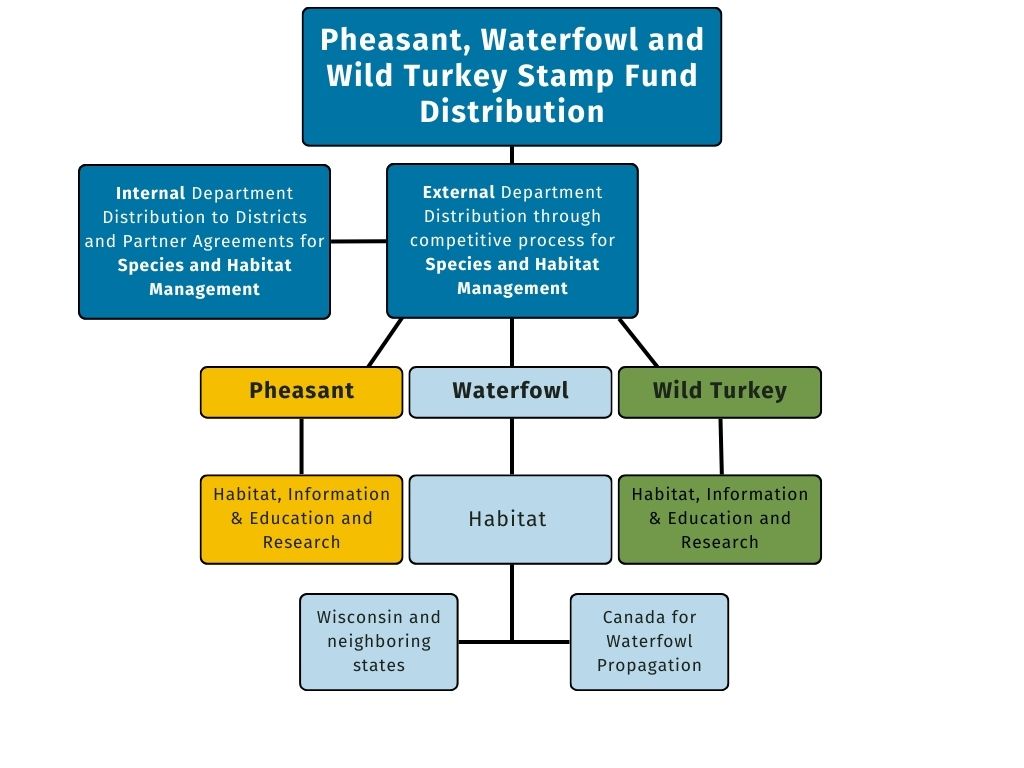 A flowchart titled "Pheasant, Waterfowl and Wild Turkey Stamp Fund Distribution." It outlines the internal and external distribution processes for species and habitat management. The chart shows three main branches: Pheasant, Waterfowl, and Wild Turkey, with associated activities such as habitat information, education, research, and regional management for Wisconsin and neighboring states.