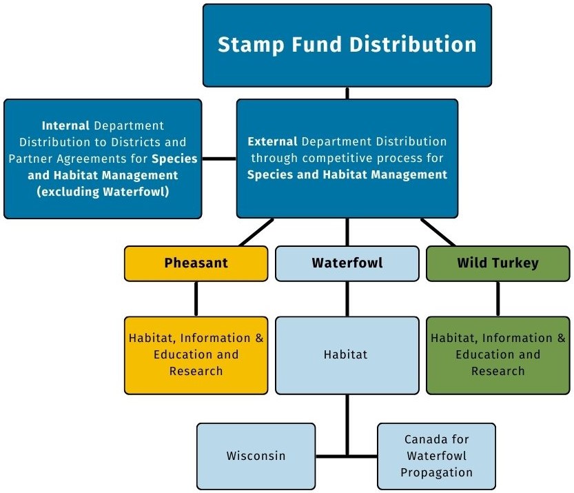 A flowchart titled "Pheasant, Waterfowl and Wild Turkey Stamp Fund Distribution." It outlines the internal and external distribution processes for species and habitat management. The chart shows three main branches: Pheasant, Waterfowl, and Wild Turkey, with associated activities such as habitat information, education, research, and regional management for Wisconsin and neighboring states.