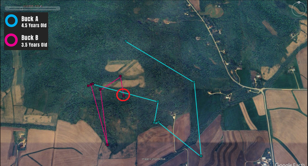 A screenshot of a video showing blue and pink GPS points, with a red circle indicating an interaction between two GPS points.