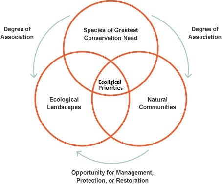 Wisconsin Wildlife Action Plan ecological priorities diagram