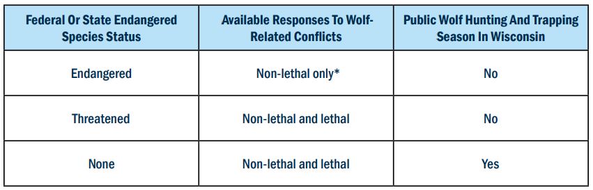 Table showing how the legal status of wolves affects the existence of a wolf hunting season and what responses (non-lethal and lethal) are available for dealing with wolf-related conflicts.