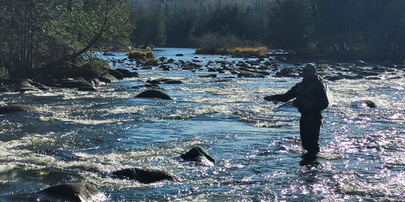 Angler wading in the Wolf River in Langlade County Wisconsin