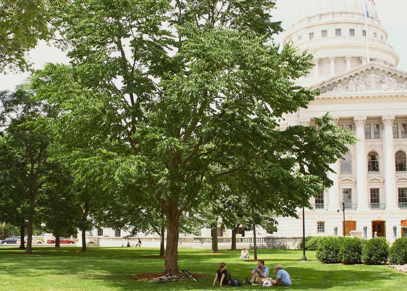 Trees providing shade to a group of people lounging on the lawn outside the Wisconsin State Capitol building.