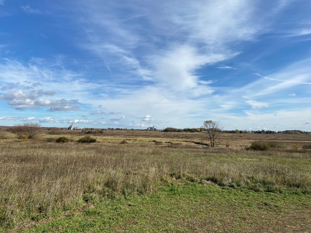 View over a grass field on a sunny day