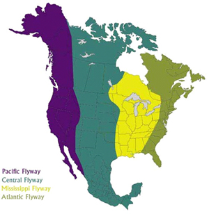 map of flyway areas