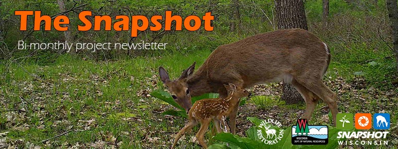 The Snapshot monthly newsletter banner