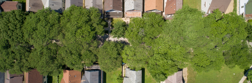 An aerial view of a city neighborhood, showing a line of trees surrounded by houses.