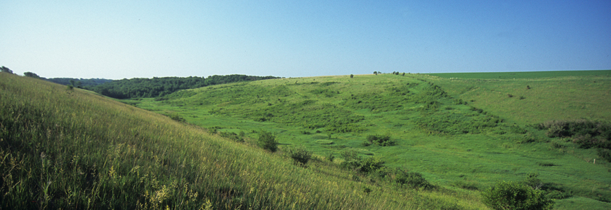 Barneveld Prairie State Natural Area
