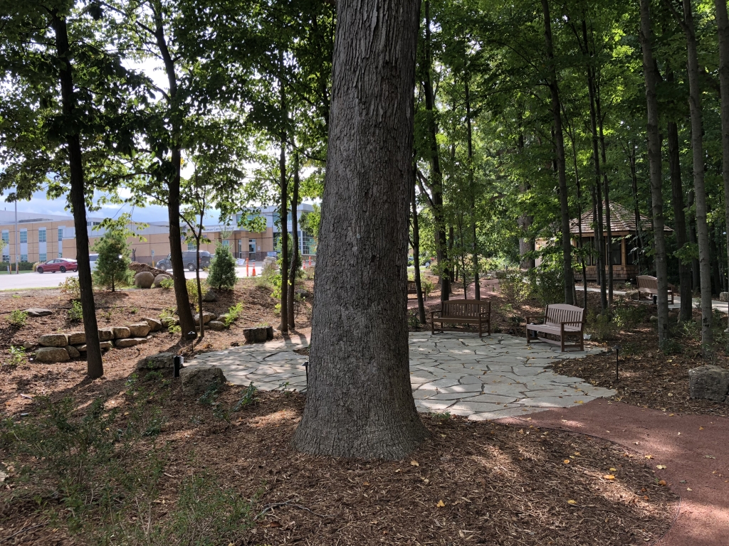 A small, paved seating area in a forest beside a building. A pine tree trunk is in the center of the image.