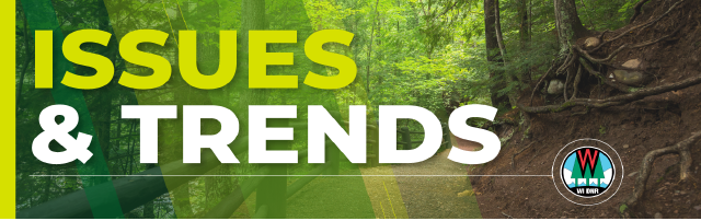 Issues and Trends graphic with DNR logo.  Text overlay on a woodland photograph.