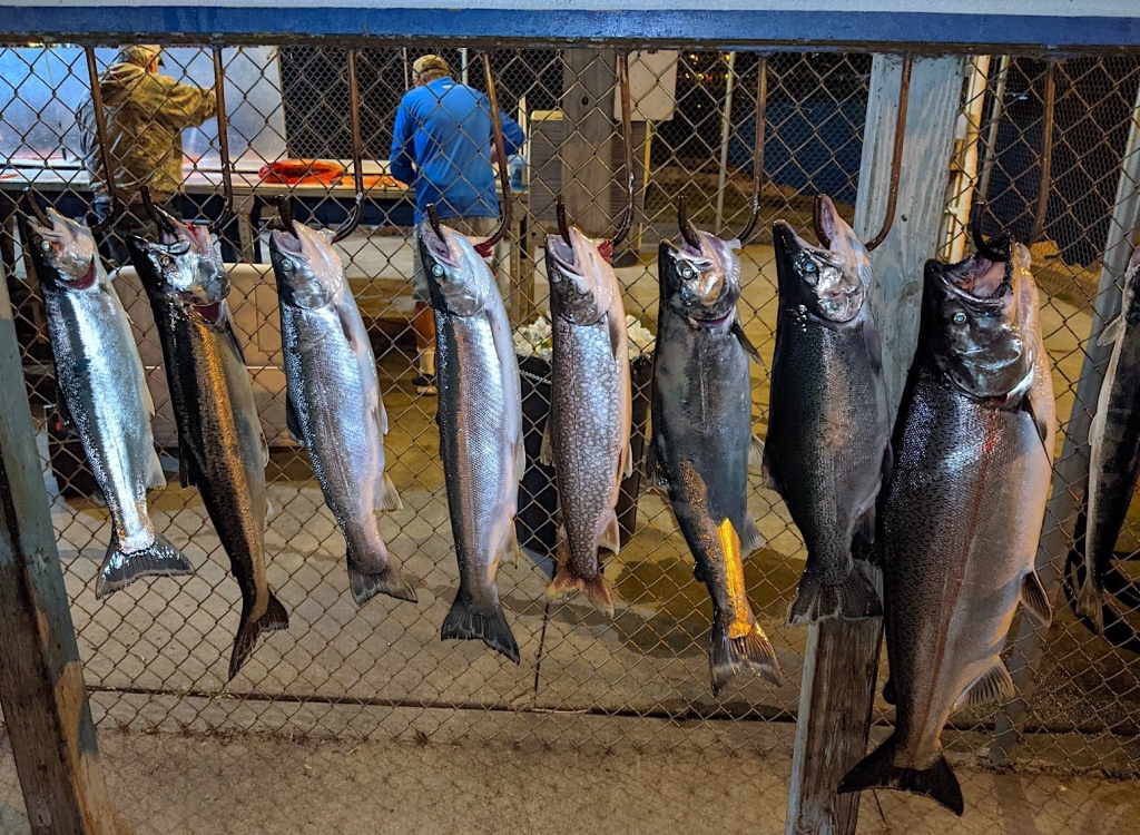 Kewaunee Hooked Fish