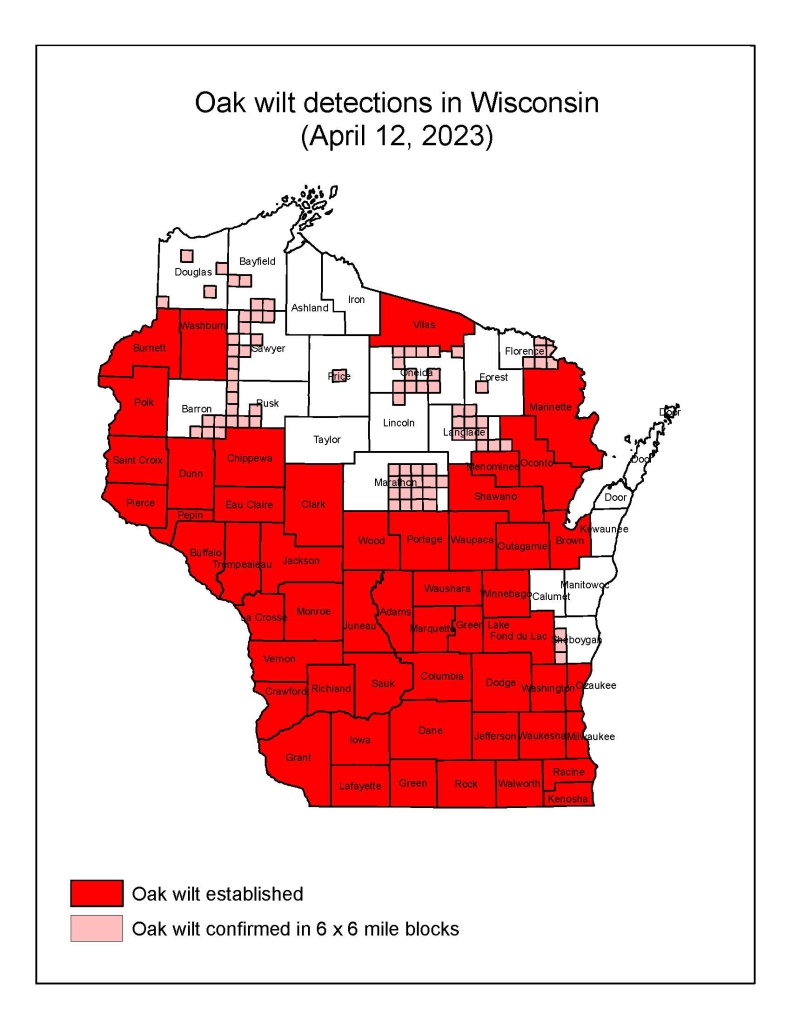 A map of Wisconsin. Counties colored bright red have oak wilt established.
