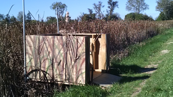 Hunting Blind next to a corn field.